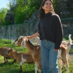 Connect with Rescue Animals on a Private Farm Tour in Catskills - Authentic Experiences and Reviews