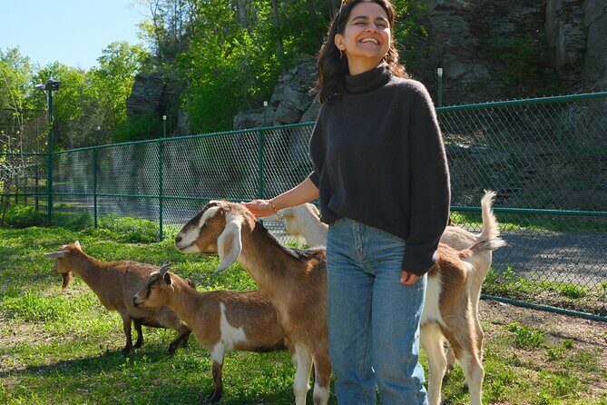 Connect with Rescue Animals on a Private Farm Tour in Catskills - Authentic Experiences and Reviews
