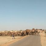 Cooking Class With Indian family - Frequently Asked Questions