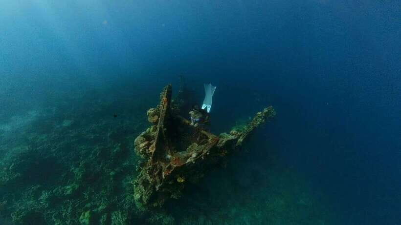 Coron: Barracuda Lake and Reef Garden Tour with Lunch - Practical Insights and Tips for Travelers