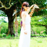 Coron: Calauit Safari Black Island Lunch & Transfer included - Who Should Consider This Tour?