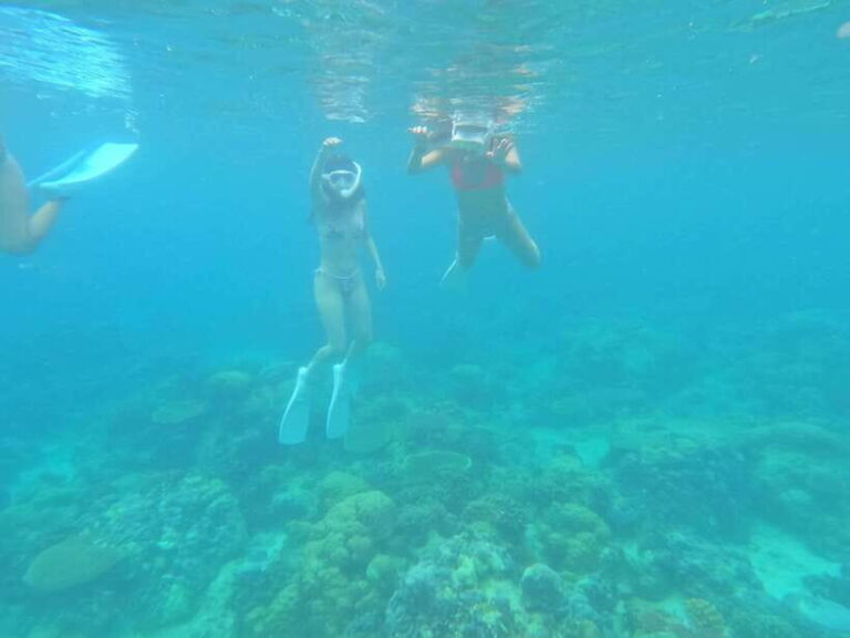 Coron: Dugong Watching with Sea Turtle and Coral Garden tour - The Pros and Cons