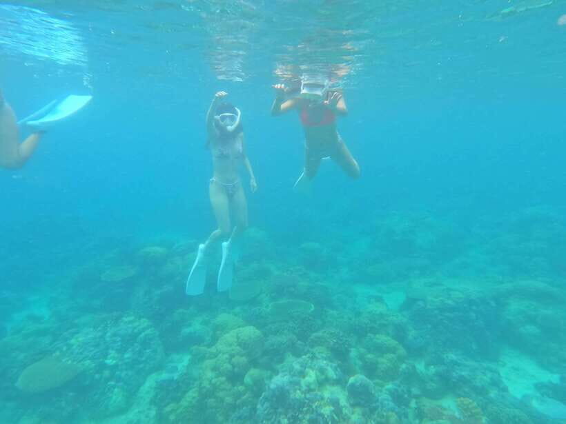 Coron: Dugong Watching with Sea Turtle and Coral Garden tour - The Pros and Cons