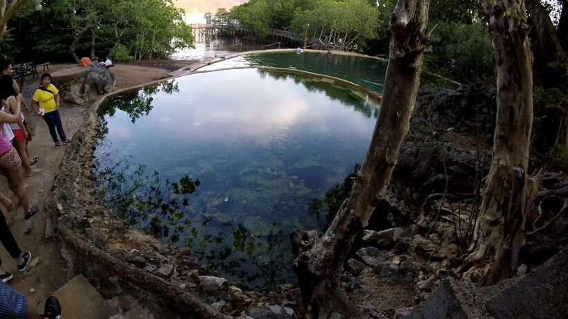 Coron Private Town Tour: Maquinit Hot Spring - Who Will Love This Tour?