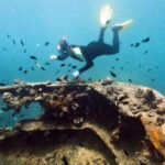Coron Reef and Wrecks Tour (Private Tour) - Whats the Itinerary?