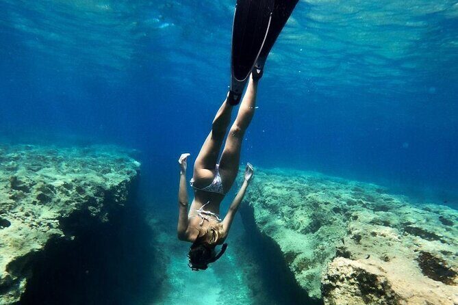 Coron Shipwrecks and Lusong Coral Garden tour (Private / Shared) - Final Thoughts
