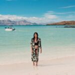 Coronado Island Adventure, snorkeling & picnic on the beach - The Sum Up