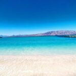 Coronado Island Visit and Sea Lions Swimming - Who Should Consider This Tour?