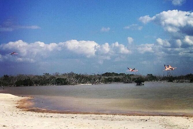 Costa Esmeralda 5 en 1