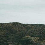 Costal Lights A Newfoundland Photography Adventure - What Travelers Say and Why It Matters