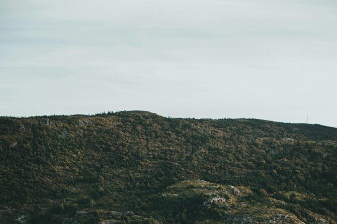 Costal Lights A Newfoundland Photography Adventure - What Travelers Say and Why It Matters