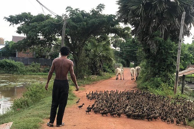 Countryside Sunset Jeep Tour - Why This Tour Offers Good Value