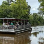 Covered Boat Swamp Tour with Transportation from New Orleans - The Experience from Traveler Reviews