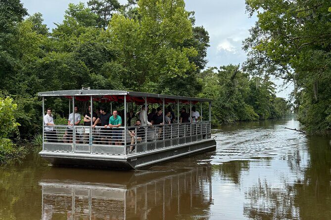Covered Boat Swamp Tour with Transportation from New Orleans - The Experience from Traveler Reviews