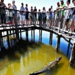 Cozumel 4x4 Adventure Punta Sur and Virgin Beach All Inclusive - The Sum Up