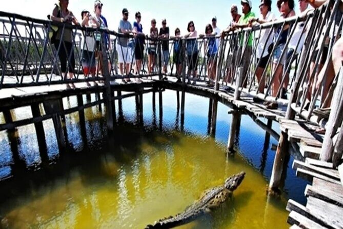 Cozumel 4x4 Adventure Punta Sur and Virgin Beach All Inclusive - The Sum Up