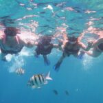 Cozumel Luxury Sailing & Snorkeling with Lunch and Open Bar Onboard - Logistics & Practical Tips