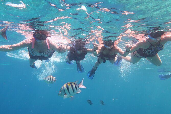 Cozumel Luxury Sailing & Snorkeling with Lunch and Open Bar Onboard - Logistics & Practical Tips
