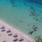 Cozumel Playa Palancar VIP All Inclusive Day Pass - Who Will Love This Tour?