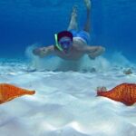 Cozumel Private 4-hour Boat Tour to El Cielo with Snorkeling - Why This Tour Is Worth Considering