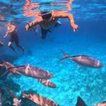 Cozumel's Best: Snorkel Adventure in El Cielo and El Cielito - Who Is This Tour For?