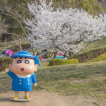 Crayon Shinchan Adventure Park Entry Ticket - Practical Tips for Visiting