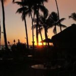 Creative Soul Scavenger Hunt of Waikiki Oahu - Who Should Consider This Experience?