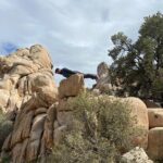 CreativeSoul ScavengerHunt(Hidden Valley,Joshua Tree)Remote Host - The Sum Up: Is This Scavenger Hunt for You?