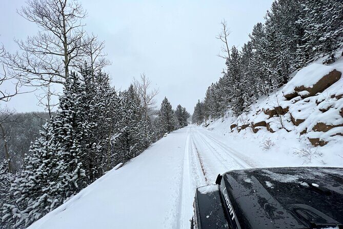 Cripple Creek Back Country Jeep Tour - Authentic Experiences and Traveler Insights