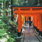 Crowd-Free Kyoto: Fushimi Inari, Nijo Castle & Kinkaku-ji - The Sum Up: Is It Worth It?