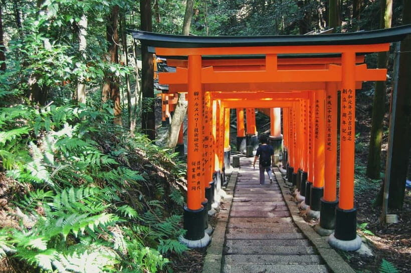 Crowd-Free Kyoto: Fushimi Inari, Nijo Castle & Kinkaku-ji - The Sum Up: Is It Worth It?