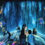 Crowd-Free Tokyo : teamLab, Roppongi Hills Views & NACT - In-Depth Look at Each Stop