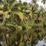 Cruise Ship Shore Excursion: Kauai Movie Sites Tour - Final Thoughts