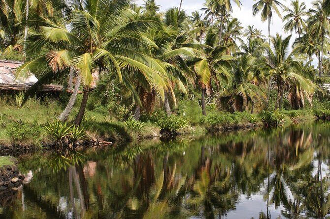 Cruise Ship Shore Excursion: Kauai Movie Sites Tour - Final Thoughts