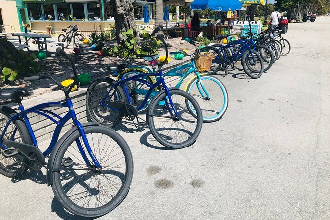 Cruiser Bike Rental at Crandon Park - Who Will Love This Experience?