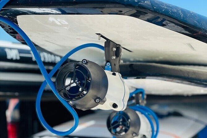 Crystal River Reserve State Park Electric Paddleboard Rentals - The Value: Is It Worth It?