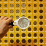 CSO Gallery - Museum in Hoi An Entry Ticket - Why You Should Consider Visiting