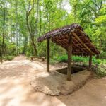 Cu Chi Tunnels and Mekong Delta 1 Day Tour from Ho Chi Minh City - Thoi Son Island: A Cultural and Culinary Escape