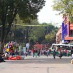 CU-Coyoacán and Xochimilco; Enjoy the Southern Colors of the CDMX - Authentic Experiences and Realistic Expectations