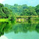 Cuc Phuong Forest - The Forest Of Thousands Of Butterflies - Exploring Ancient Wonders and Caves