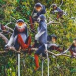 Cuc Phuong National Park Group Day Tour - Practical Details and What to Expect