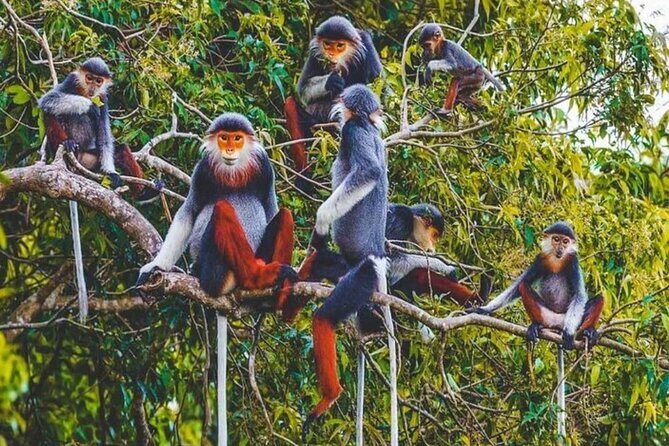 Cuc Phuong National Park Group Day Tour - Practical Details and What to Expect