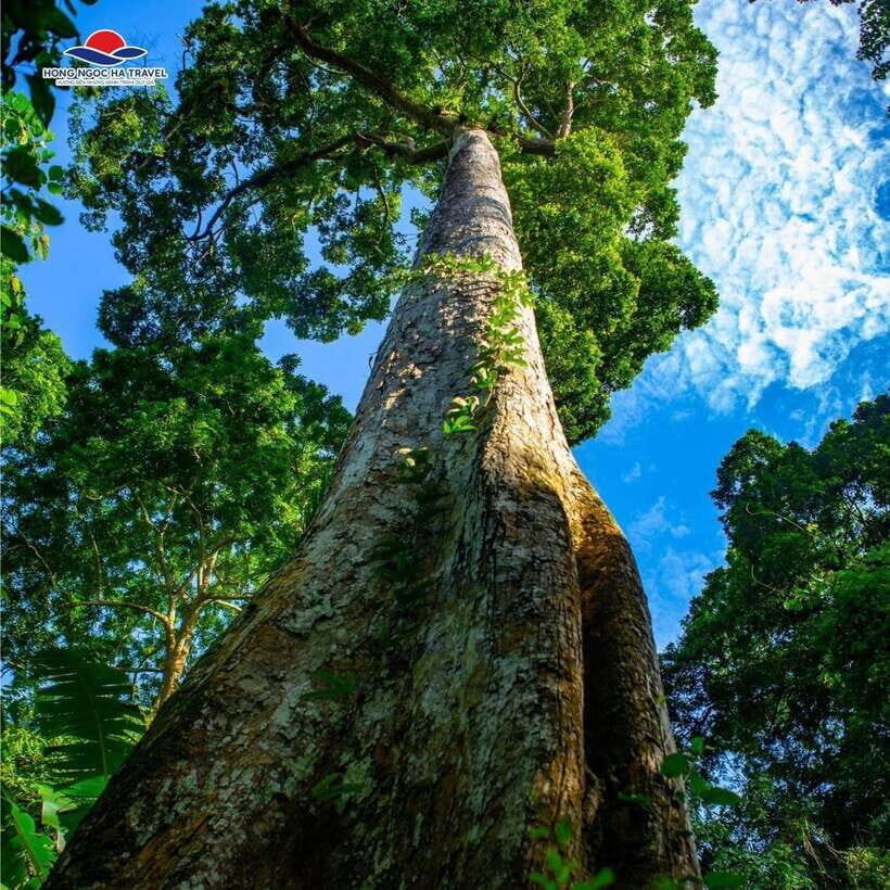 Cuc Phuong National Park Private Tour From Hanoi Old Quarter - In-Depth Look at the Itinerary