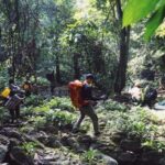 Cuc Phuong National Park: Trek & Camp in Jungle 2 days - Who Should Consider This Tour?