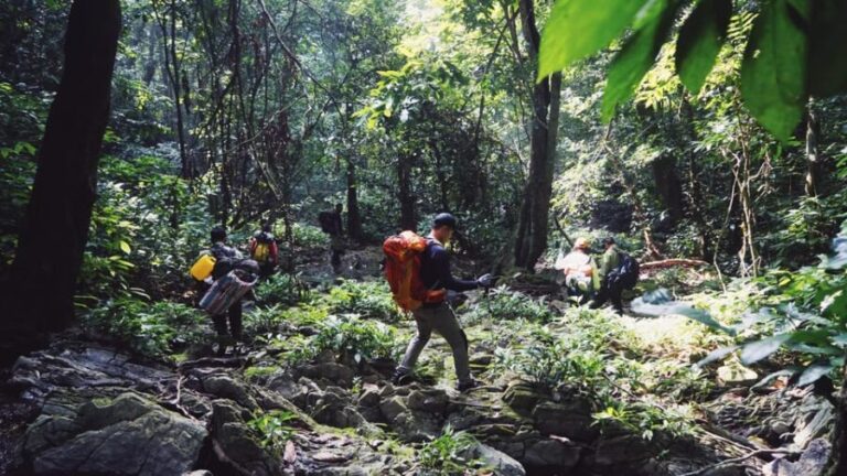 Cuc Phuong National Park: Trek & Camp in Jungle 2 days - Who Should Consider This Tour?