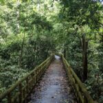 Cuc Phuong National Park Trekking: Private Day Tour From Hanoi - Potential Drawbacks and Considerations