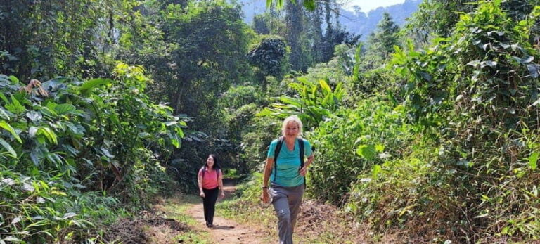 Cuc Phuong National Park - Van Long Day Trip From Hanoi - What Travelers Say