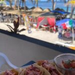 Culinary Adventure Cafe Jaguar Cooking Class Costa Maya - Detailed Review of the Costa Maya Cooking Class Experience