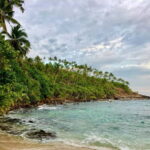 Culture and Wildlife 4 Days Private Tour with Beach Holiday - What Travelers Have Said