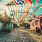 Culture, History and Food in Oaxaca City - Travel Logistics: What to Know